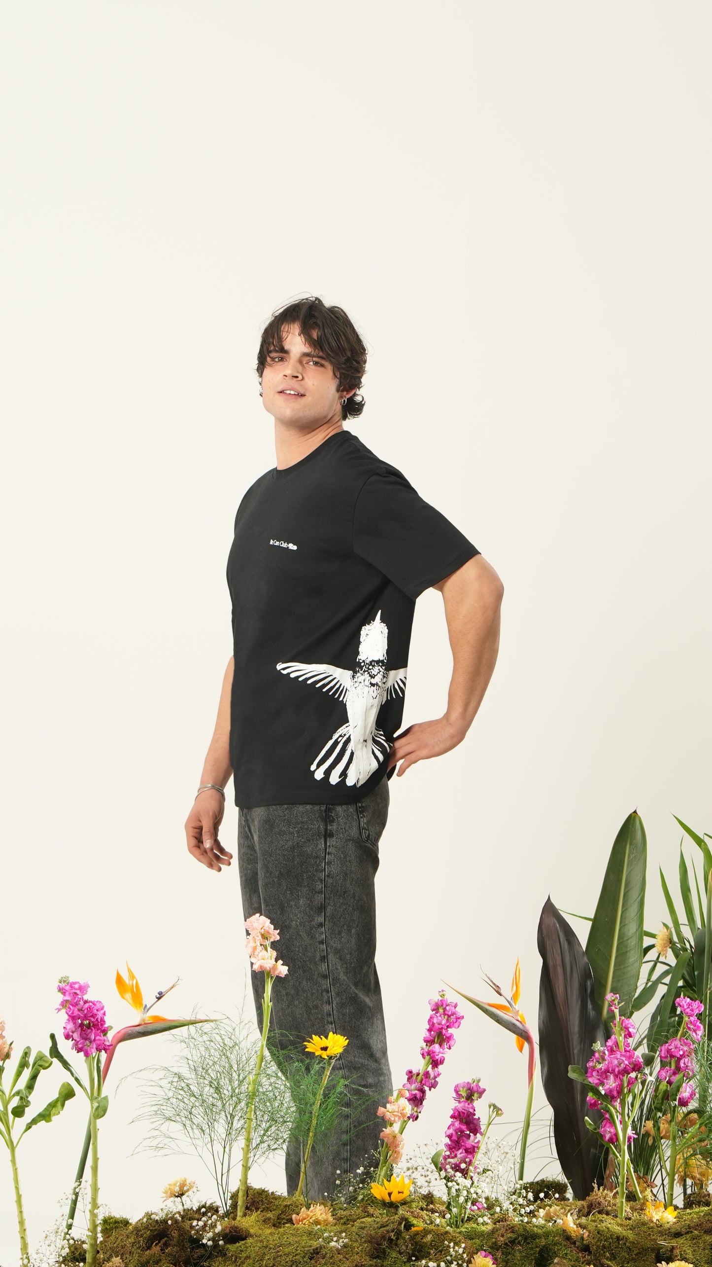 Hummingbird - Tshirt